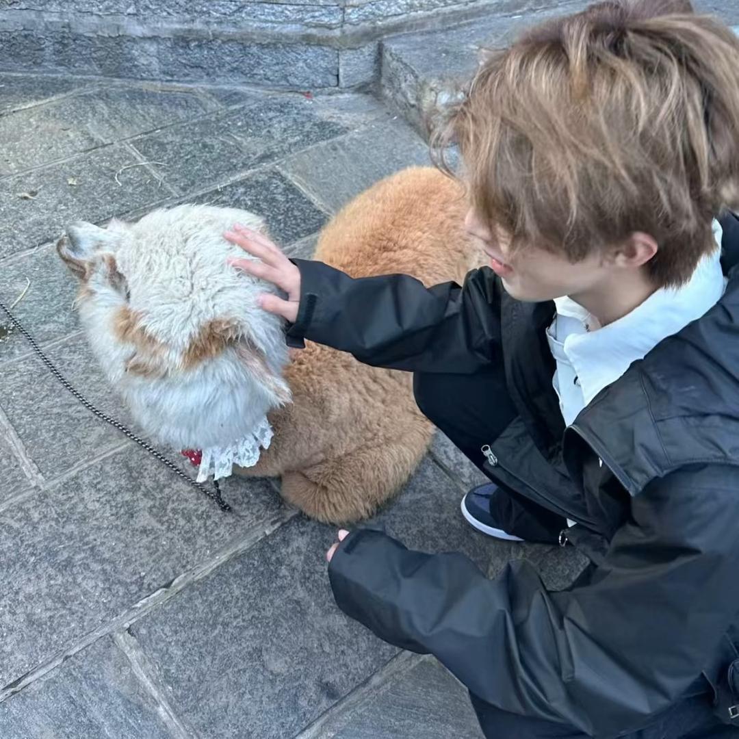 炽热的心
