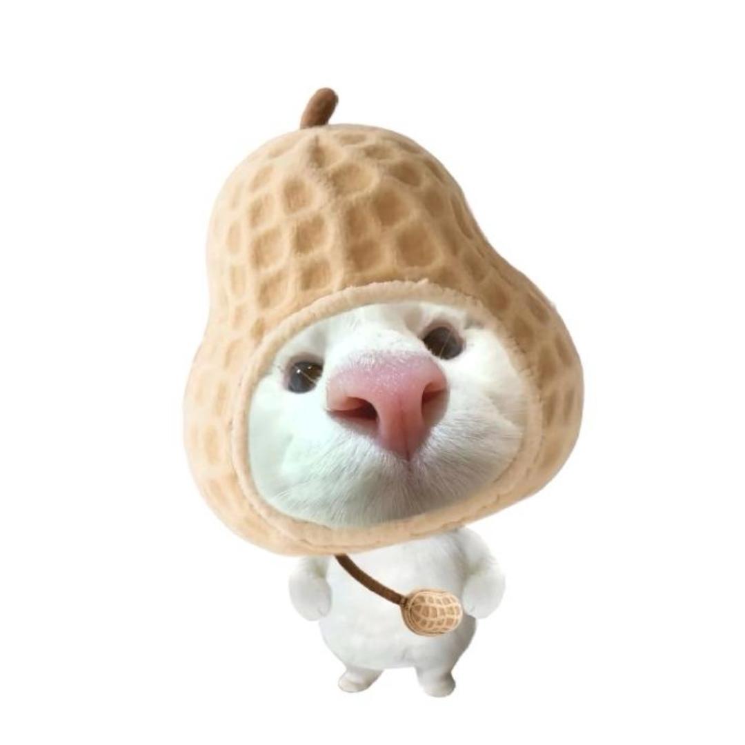 小熊咩