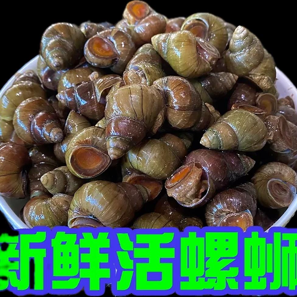 水产小聪子（建湖）