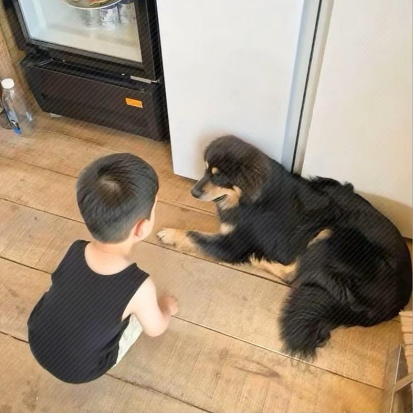 爱哭鬼.