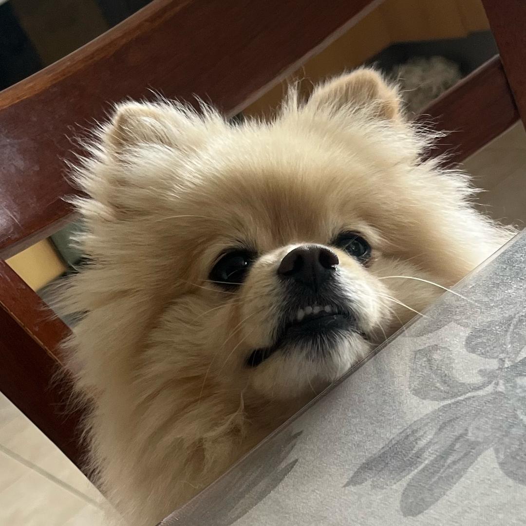 样样