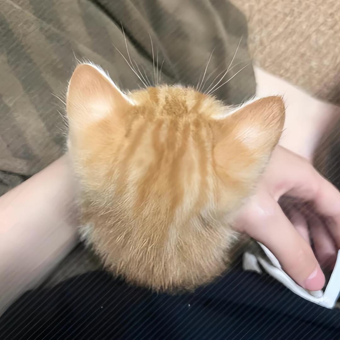 ٩(❛ัᴗ❛ั⁎）