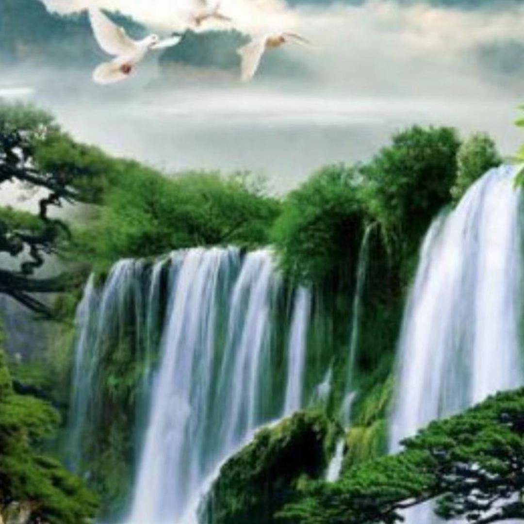 心若普提🙏🙏