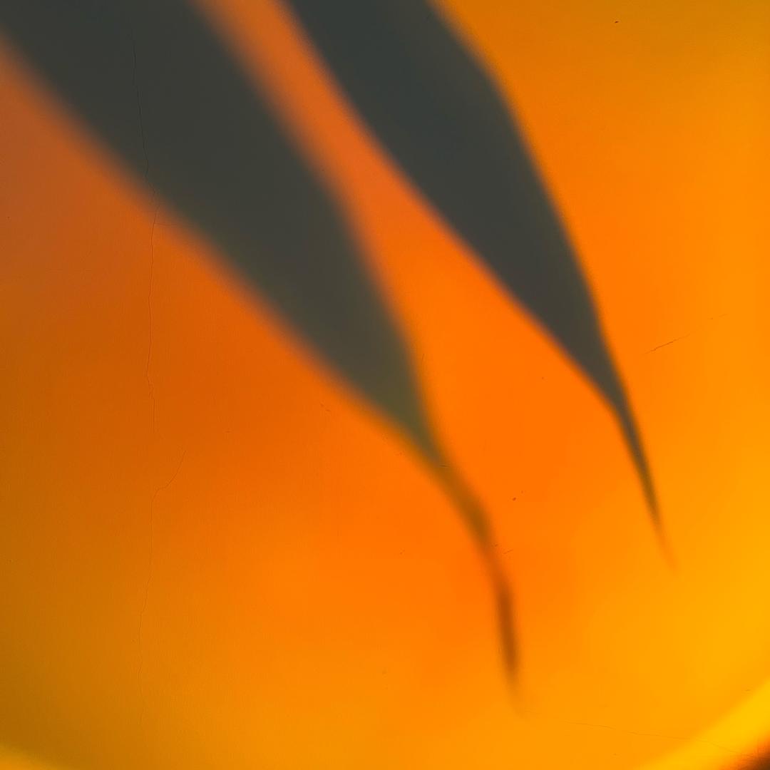 姚多练