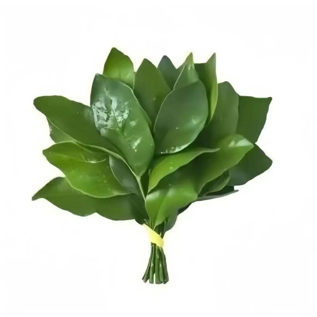吃西瓜不吐籽