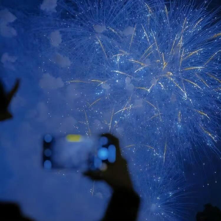 逆蝶