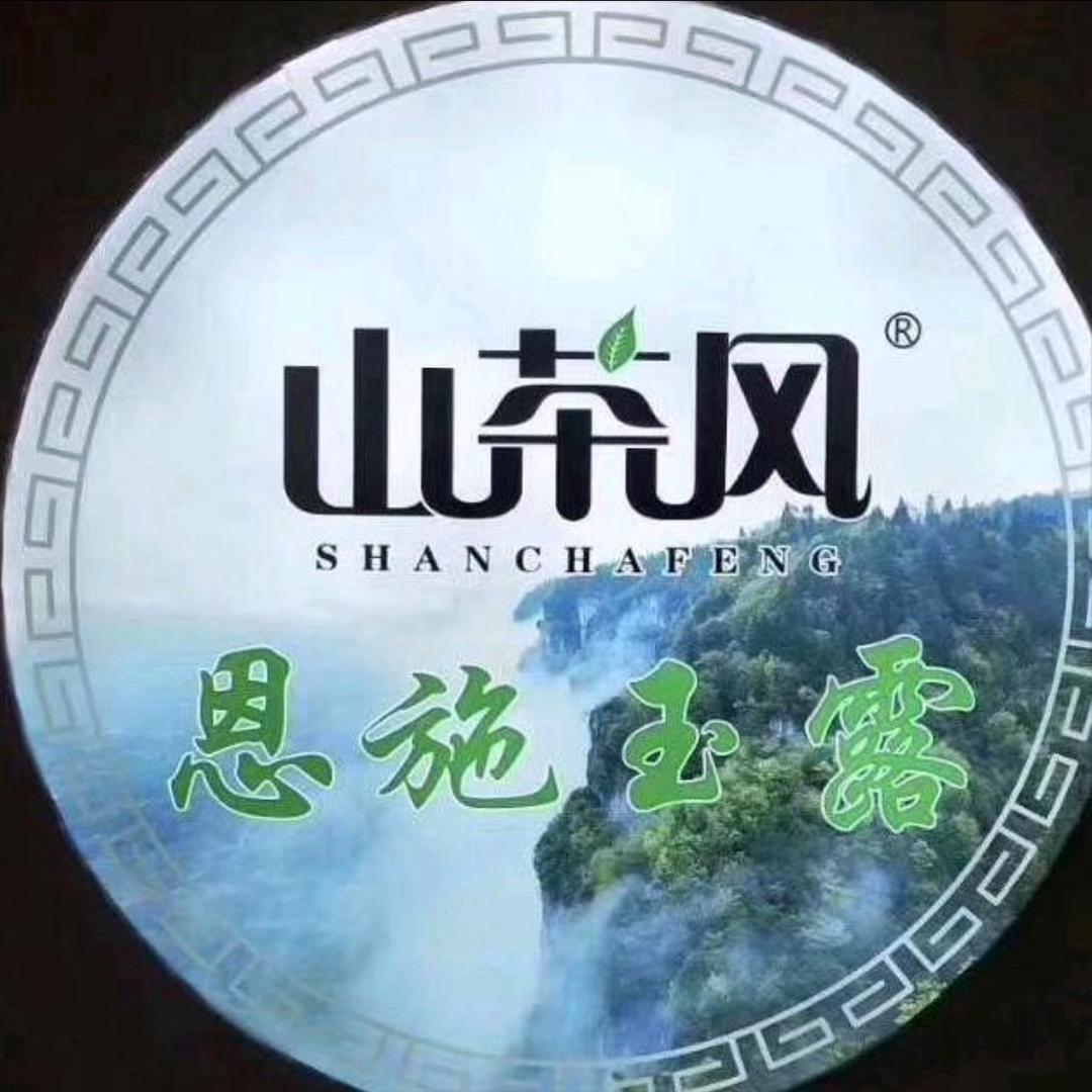 山茶风