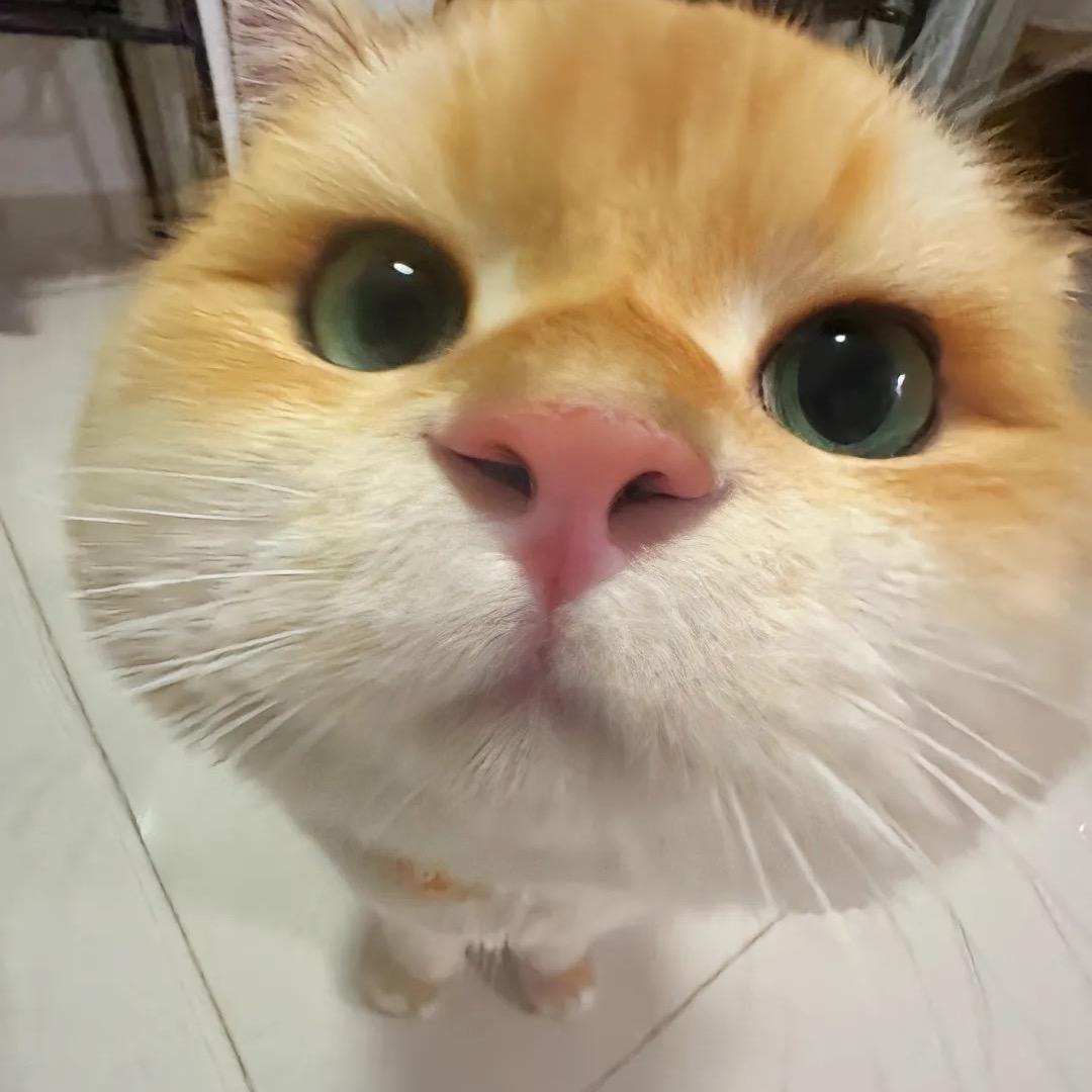 🌰