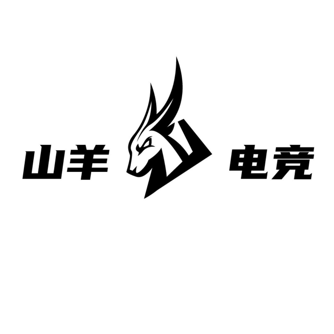 山羊电竞卓威体验店