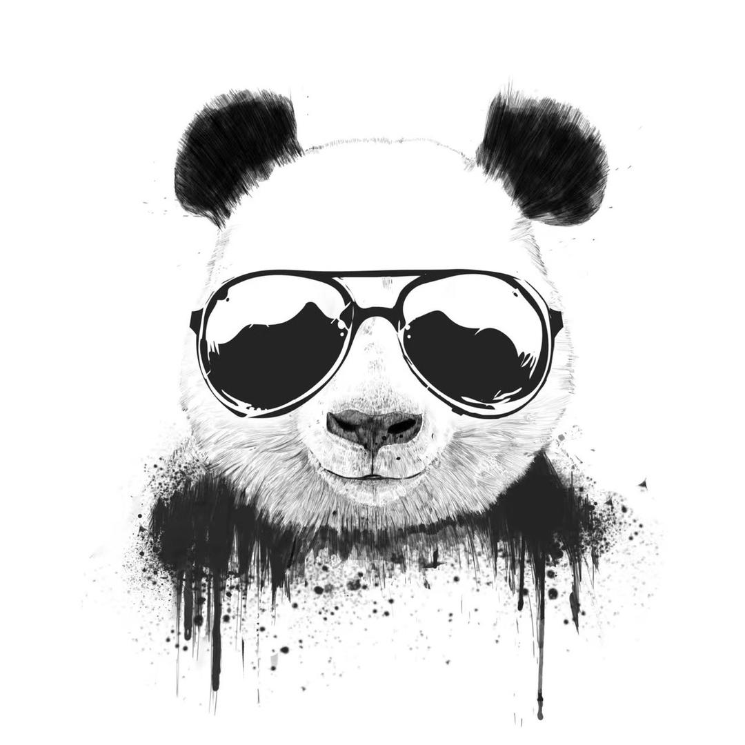 熊猫围观