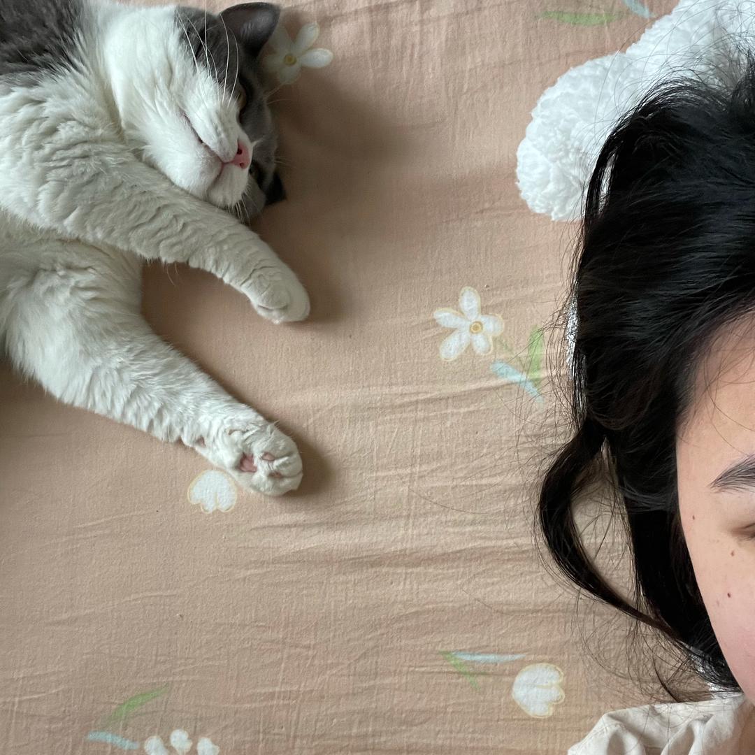 小羊吃不饱