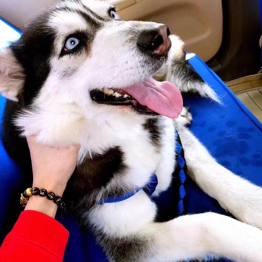 🌈风已不在吹