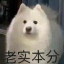 小羊不阳啦