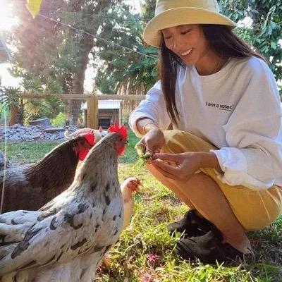 养鸡女王