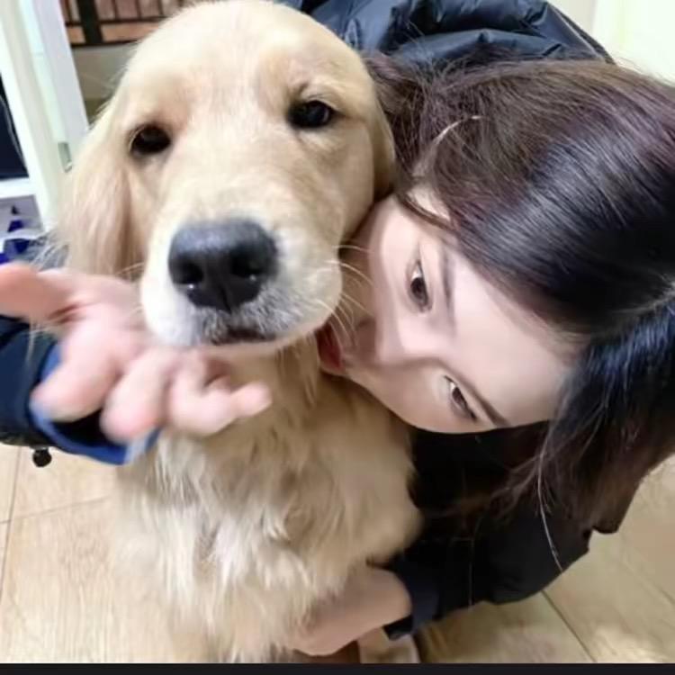 @卖萌被打成鱼饼