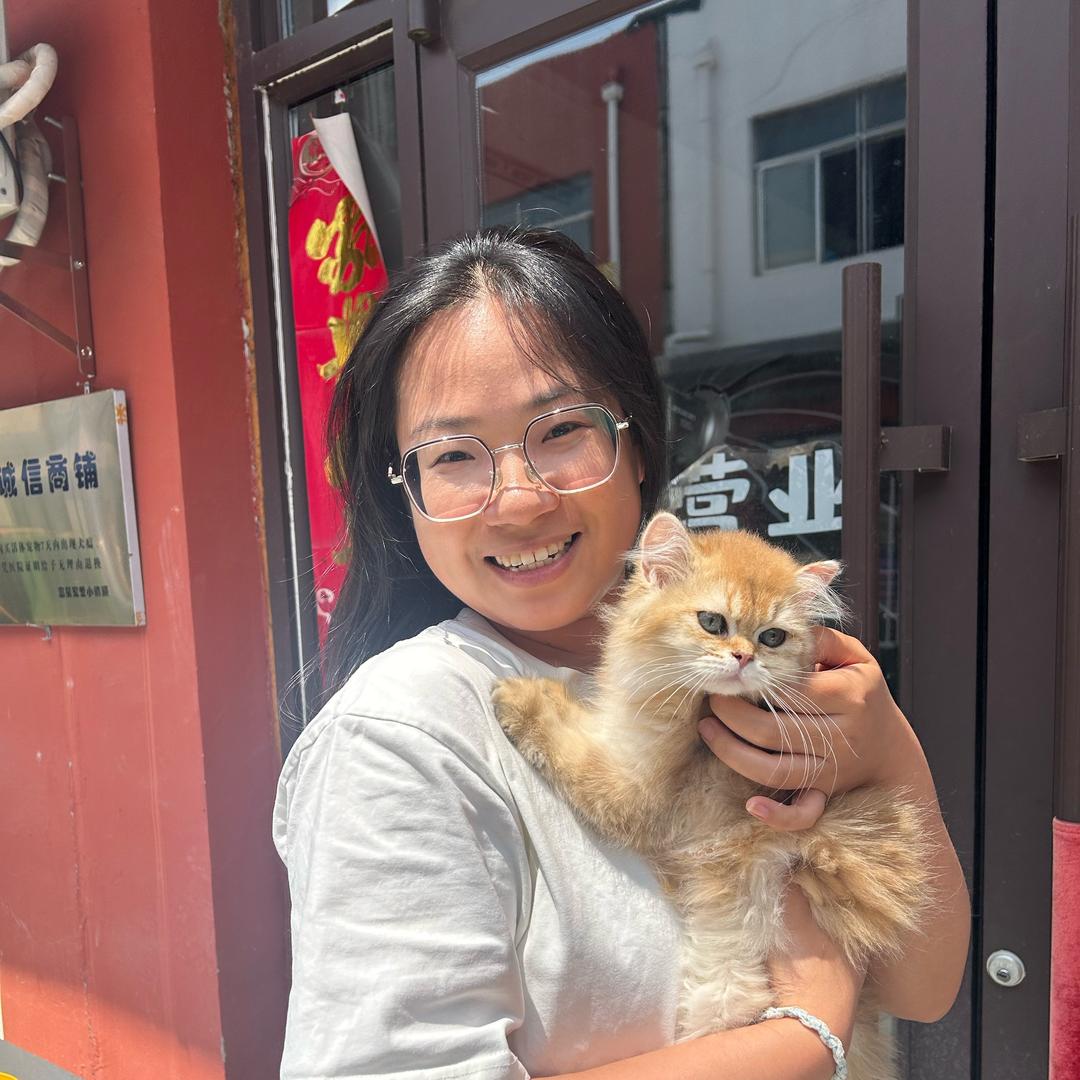 东北小黑鼓捣猫