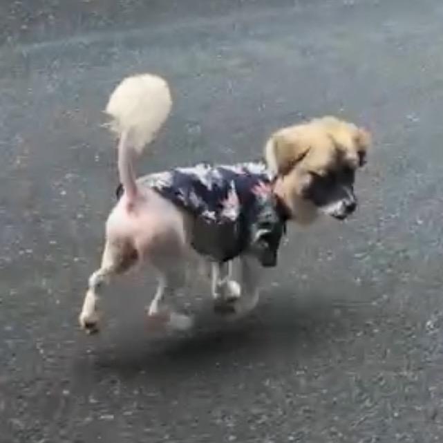 冰美式多加冰！