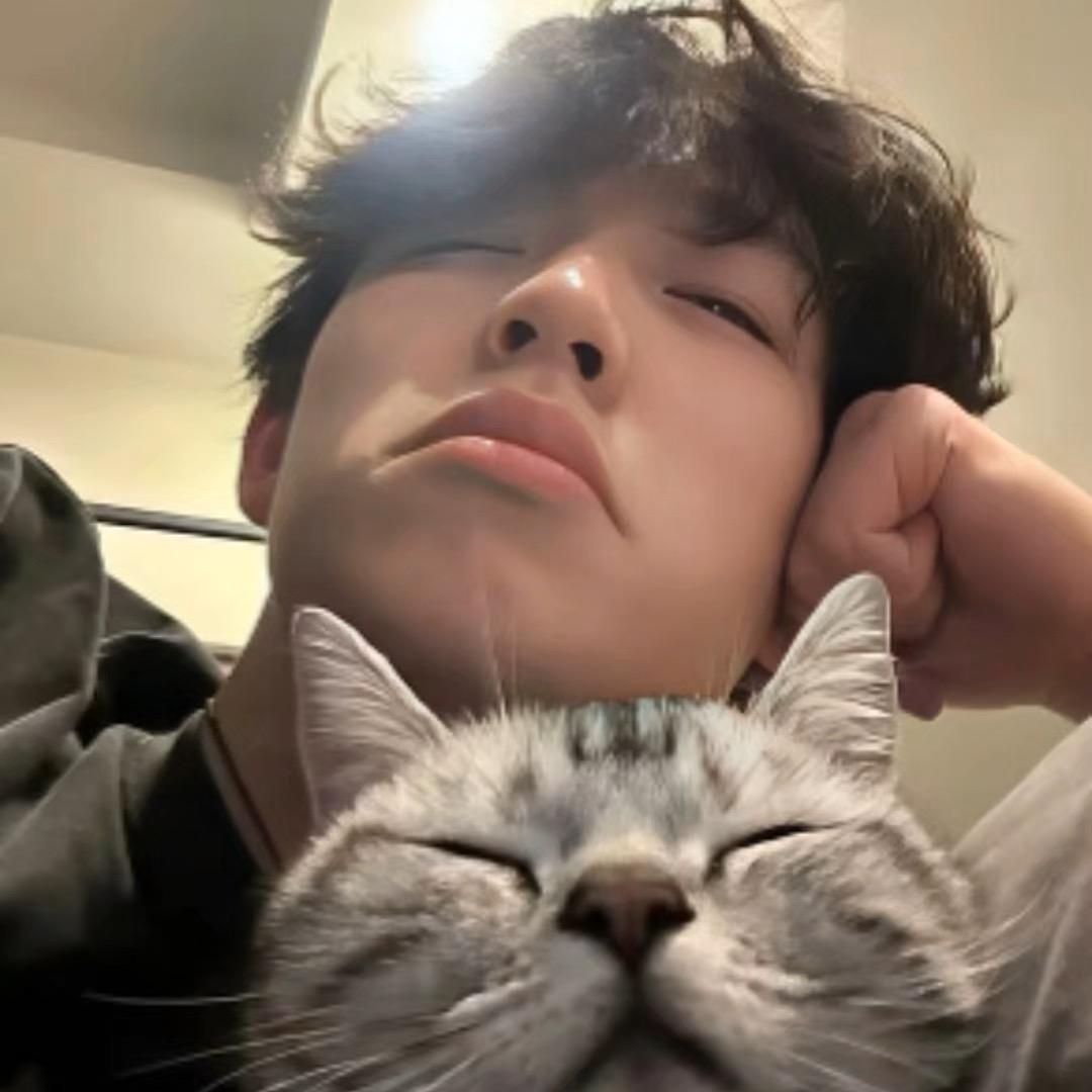 A-郑州城院小宇