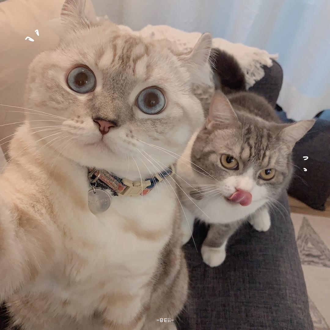 哒哒哒