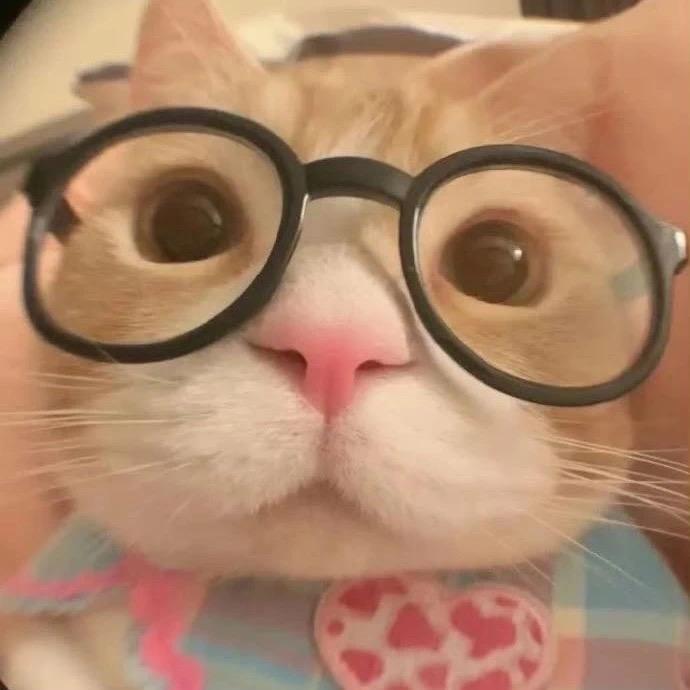 雾雾蓝