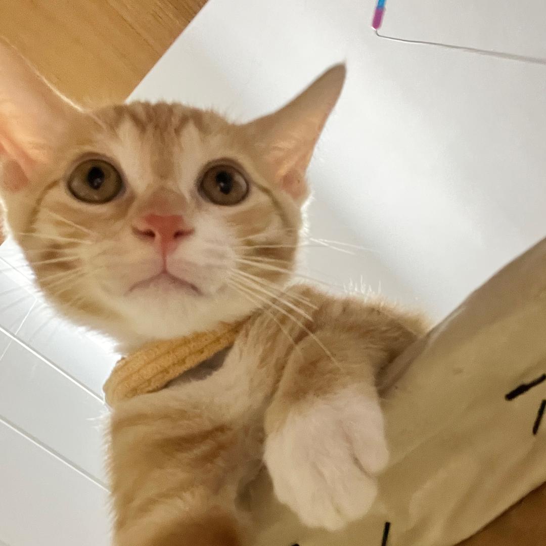 不是五十是五时