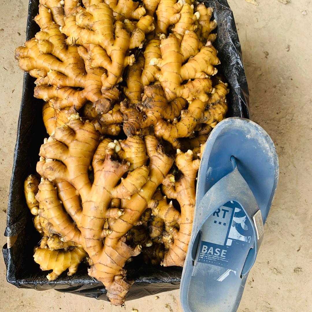 汝城县贺发家庭农场