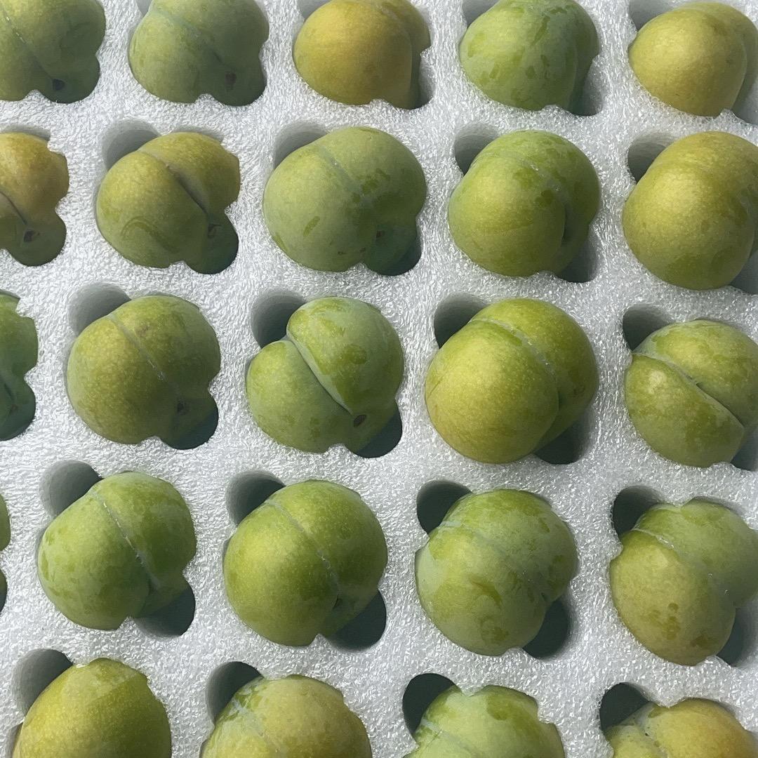 王起果业
