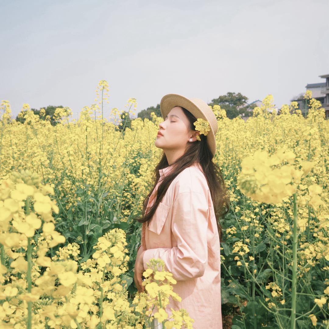 🍊一颗橙子