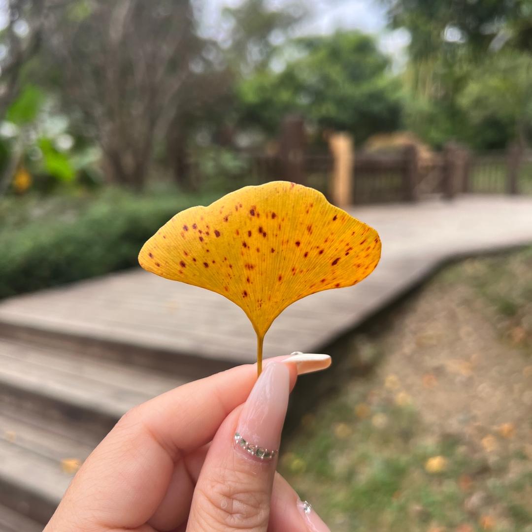 🌈 ୧⍤⃝是温温呐