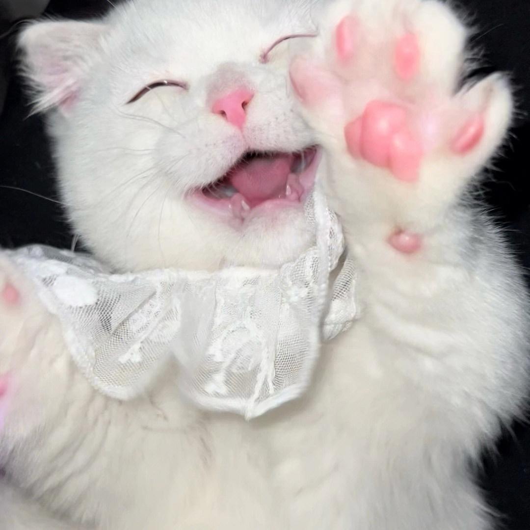 耶呀
