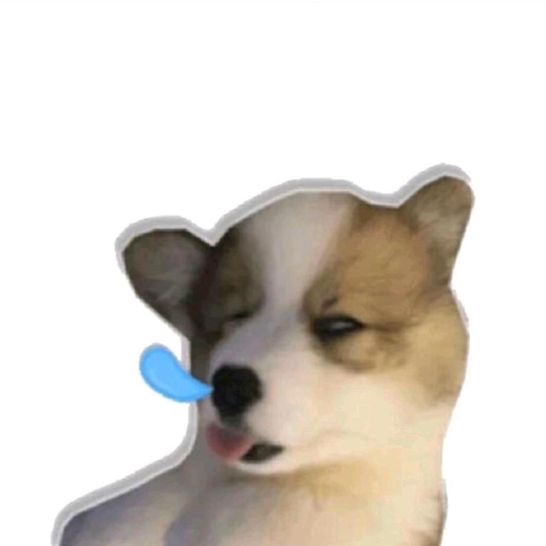 是佳不是嘉