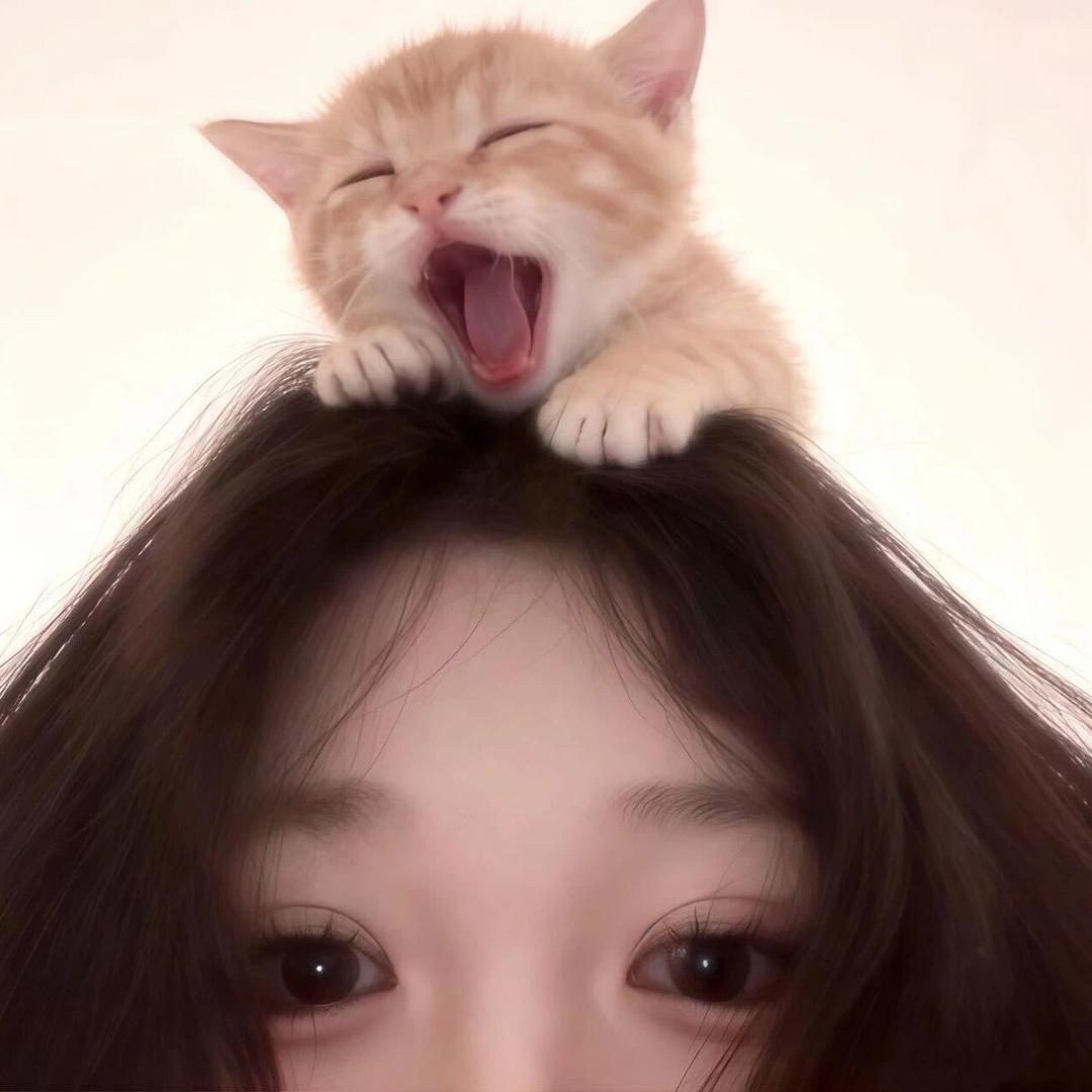 皮皮虾^