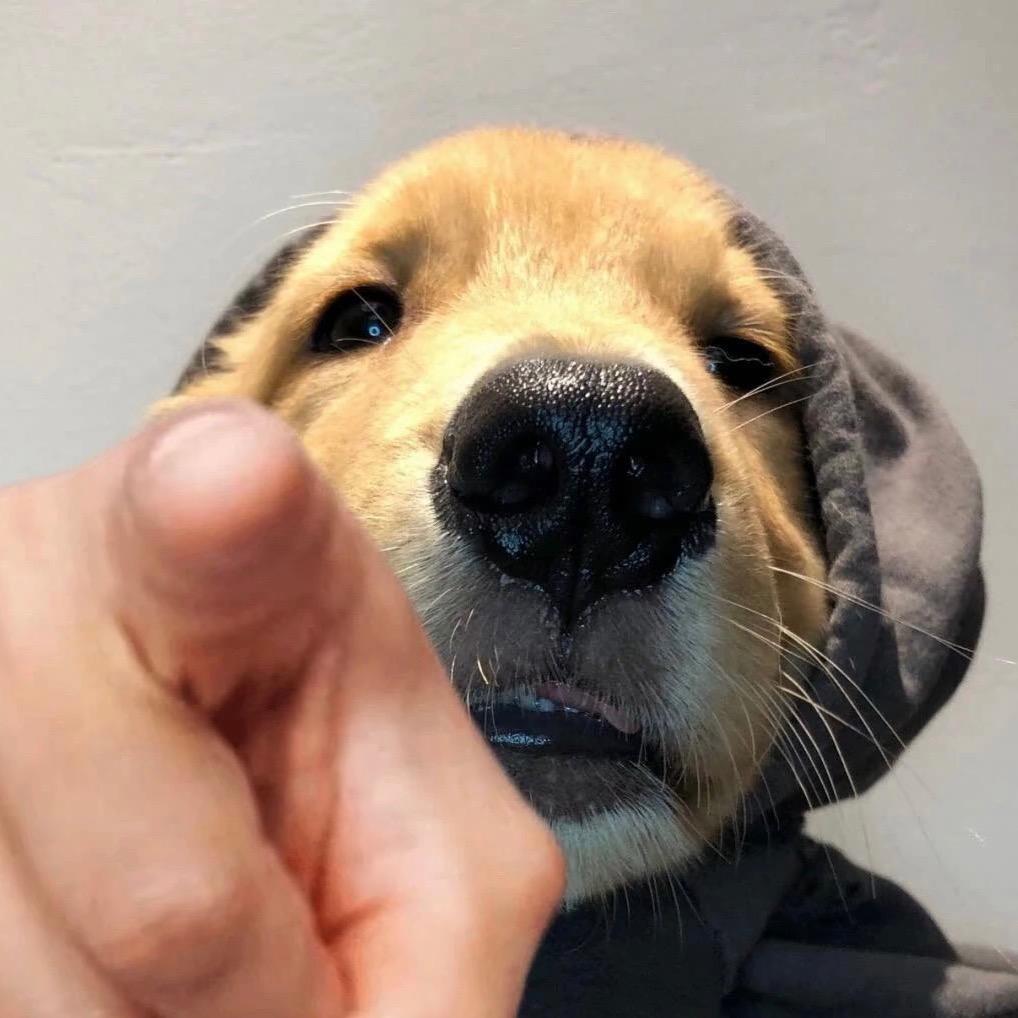 張-.