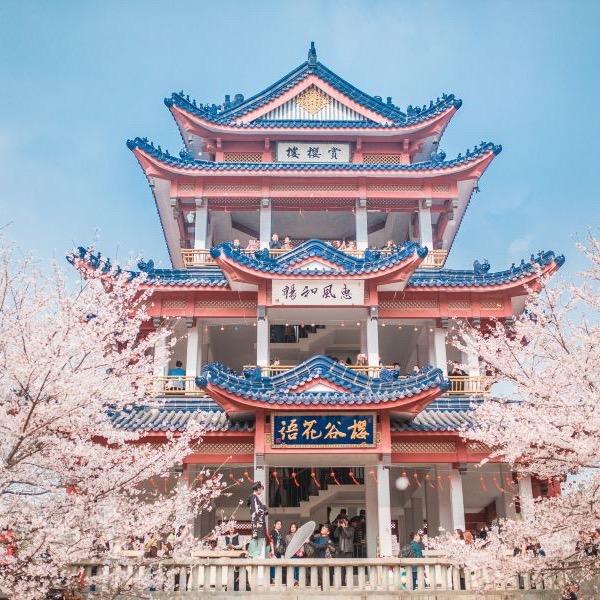 开心快乐每一天！