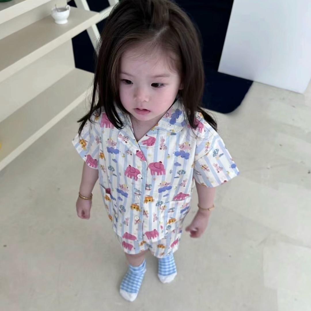 盐水鸭子