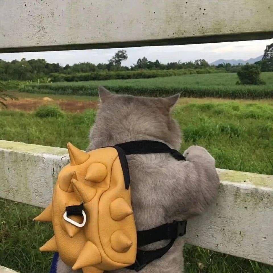 小葱葱