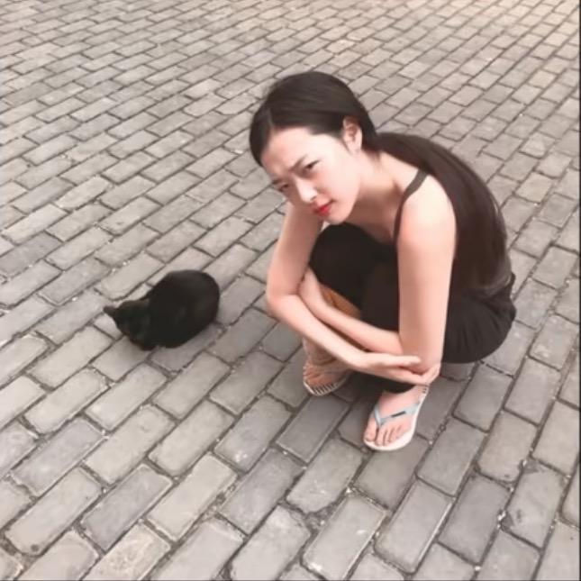 小呆袋