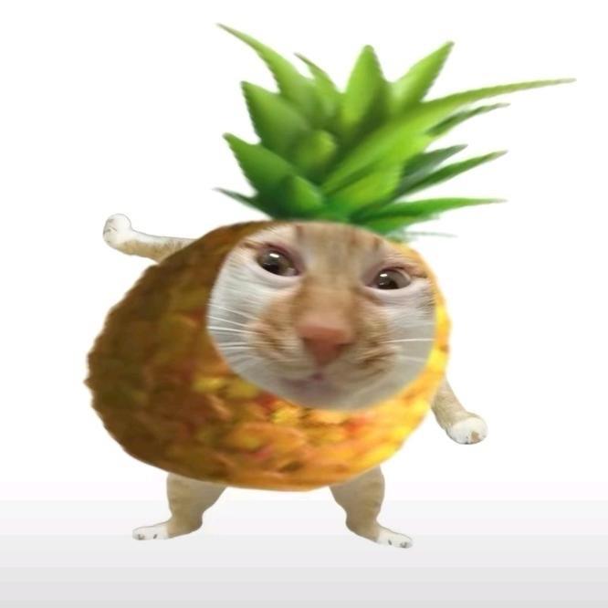 菠萝猫^_^