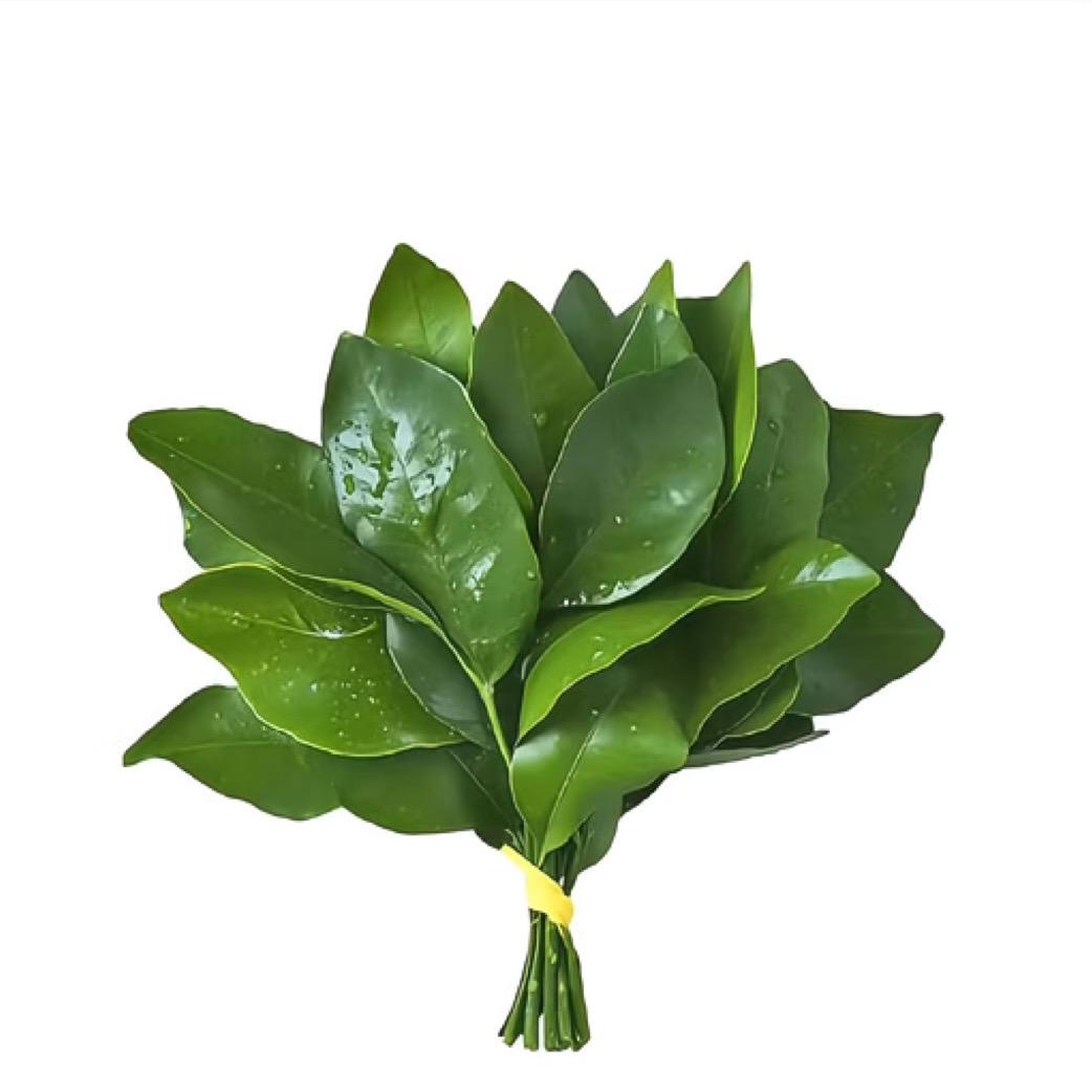 困困！