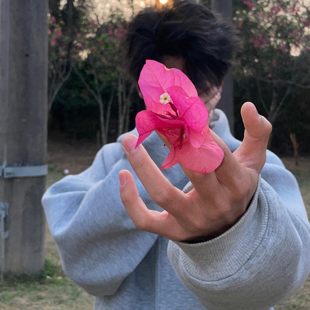 悲伤的萝卜