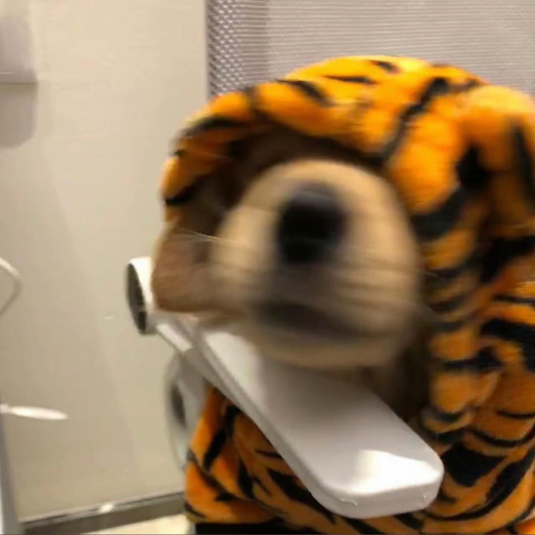 eeee