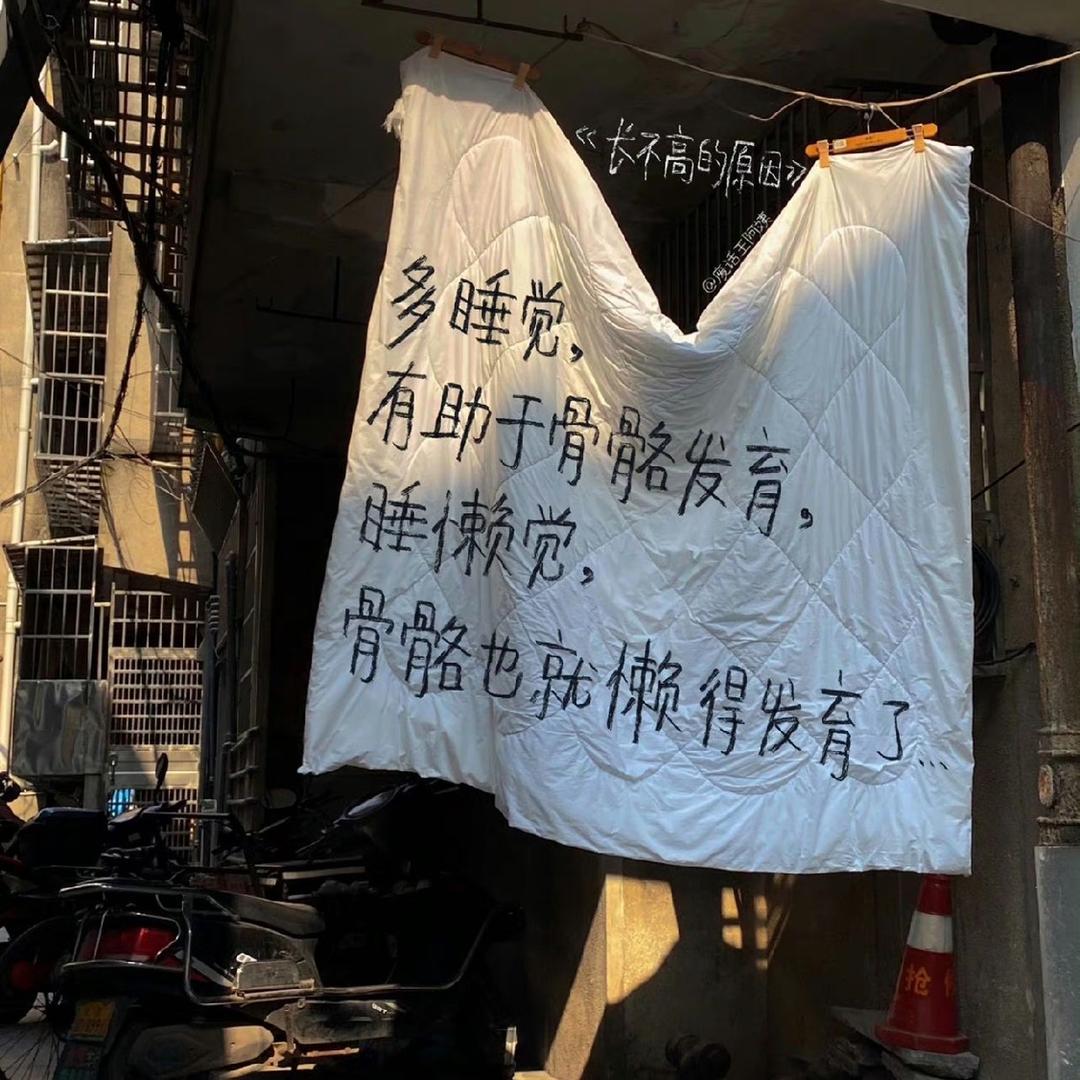 秦司礼.