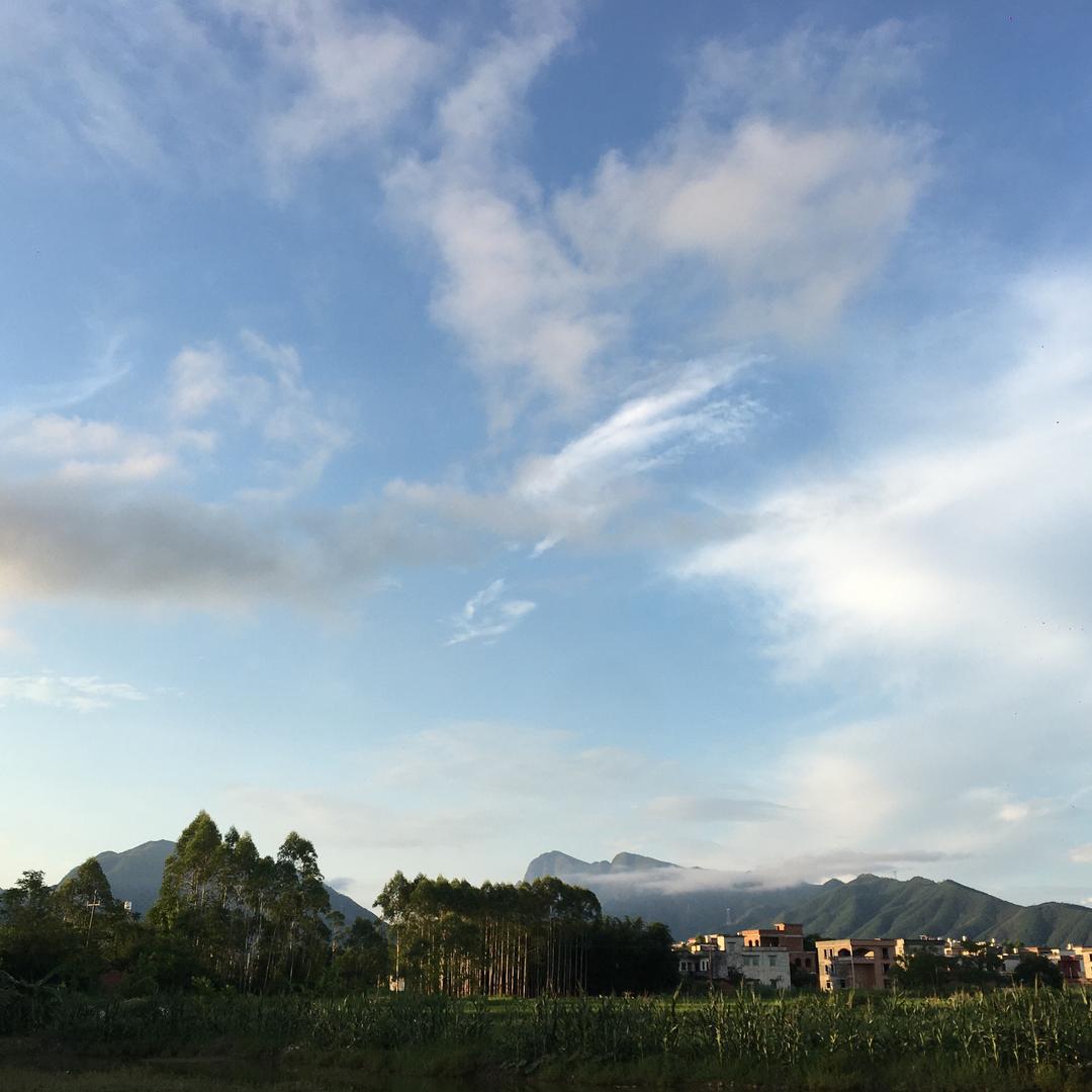 🍀春意盎然🍀