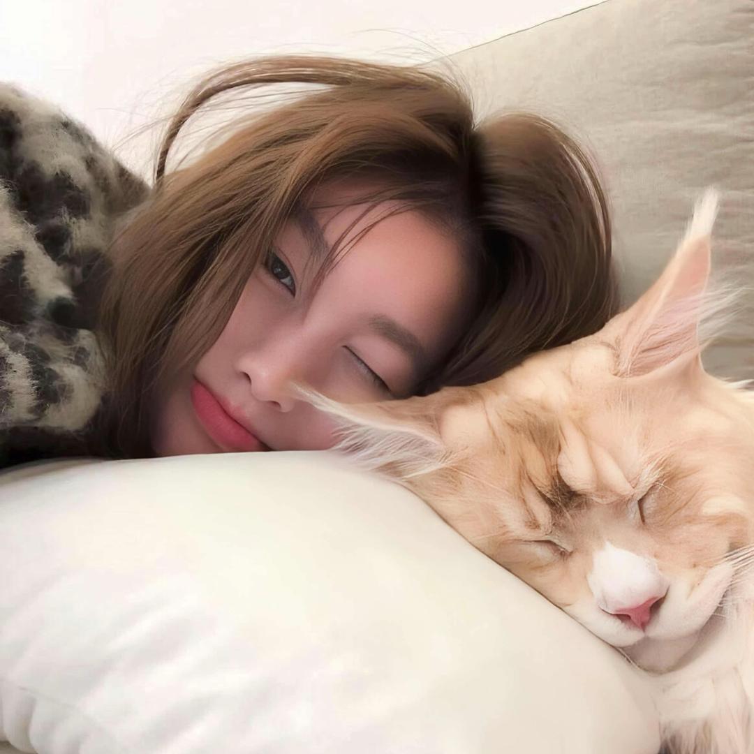 A毛毛🐈
