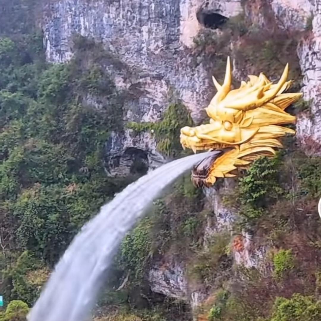 龙四🐲