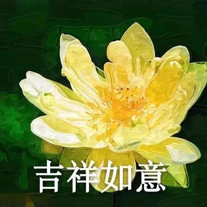 波嗷