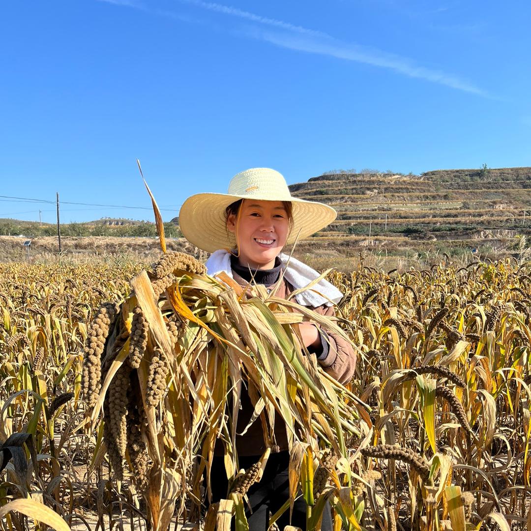 延安换换家农产品