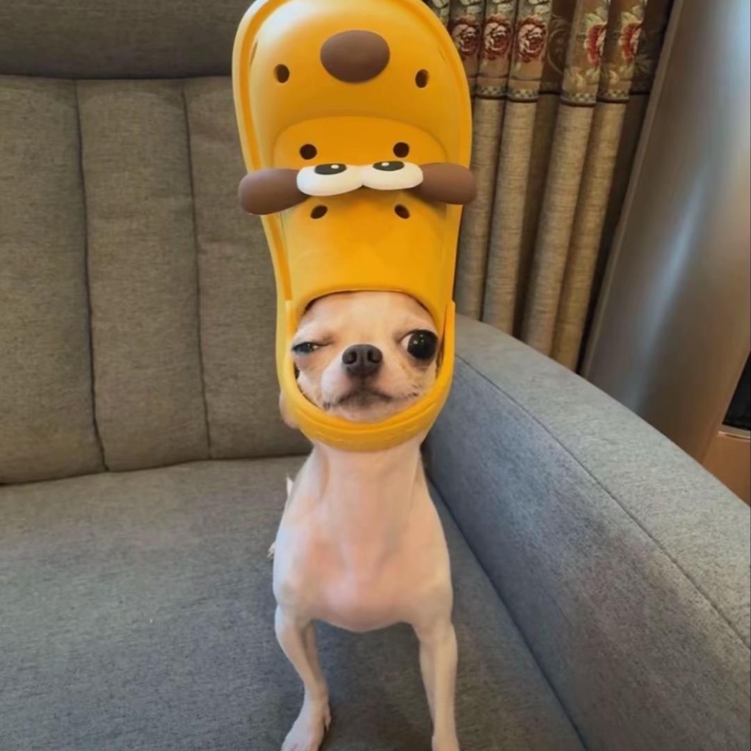尤文