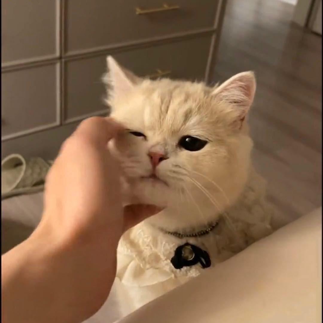 ʚ爱吃薯条ɞ