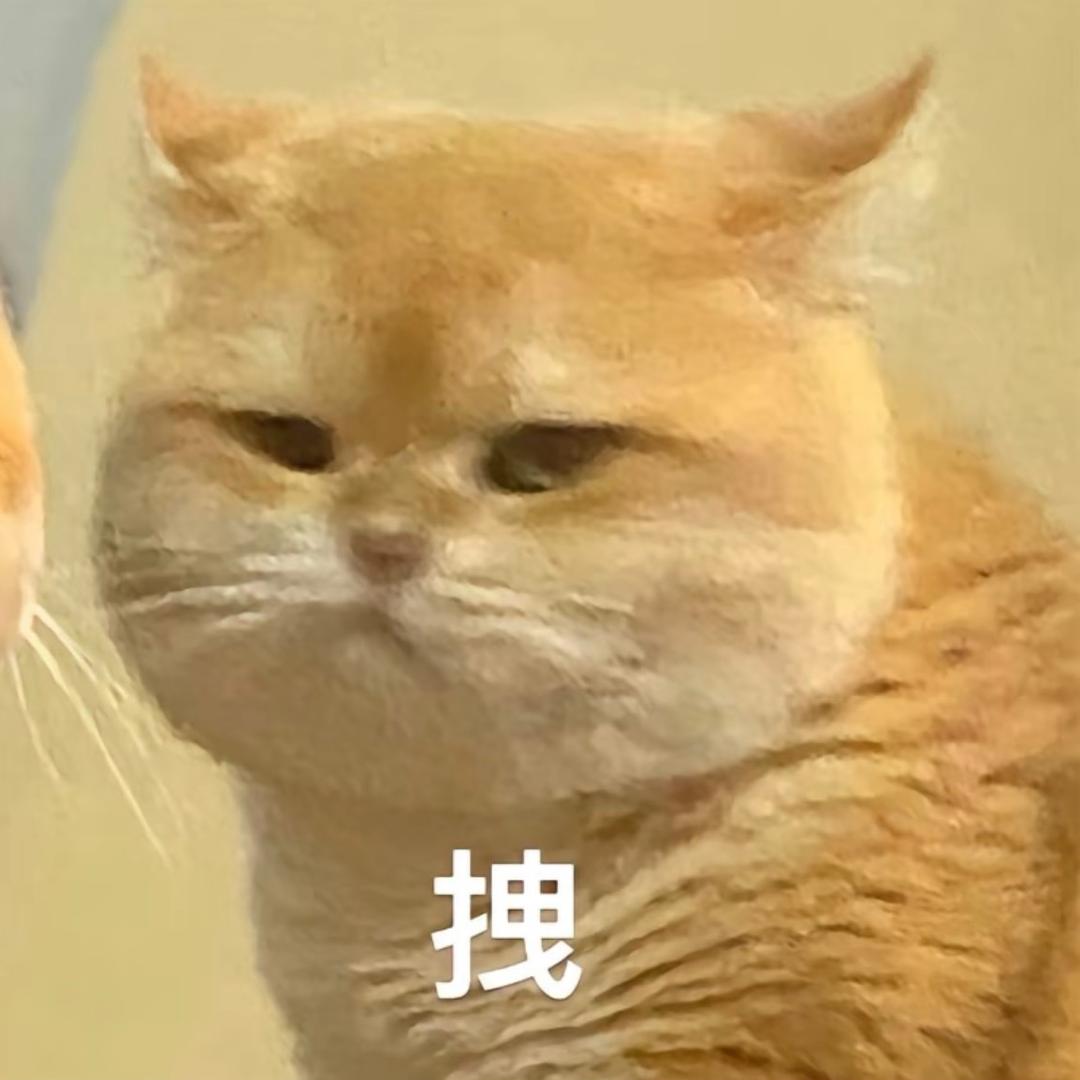 芭乐脑袋